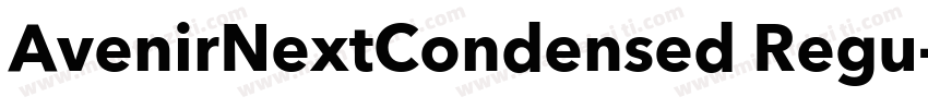 AvenirNextCondensed Regu字体转换